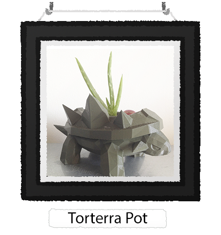 Torterra Pot
