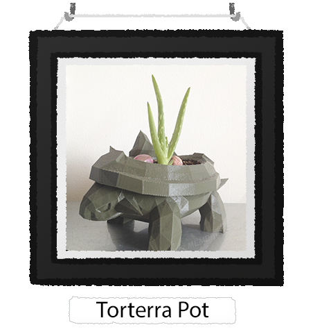 Torterra Pot