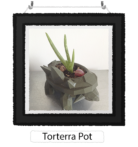 Torterra Pot
